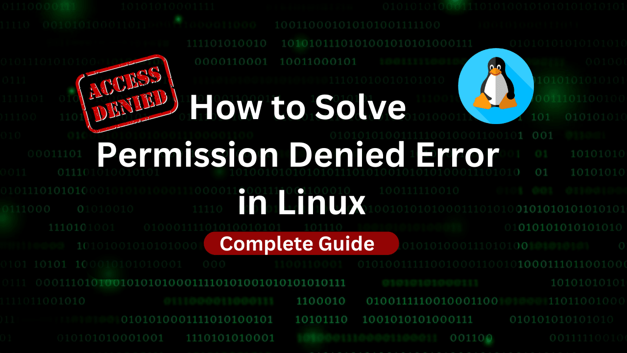 How To Solve Permission Denied Error Linux Dracula Servers Tutorials